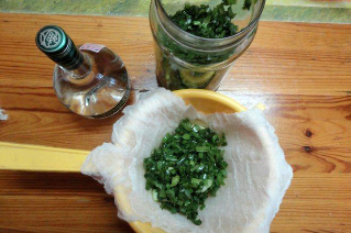 kolanchoë en wodka tinctuur