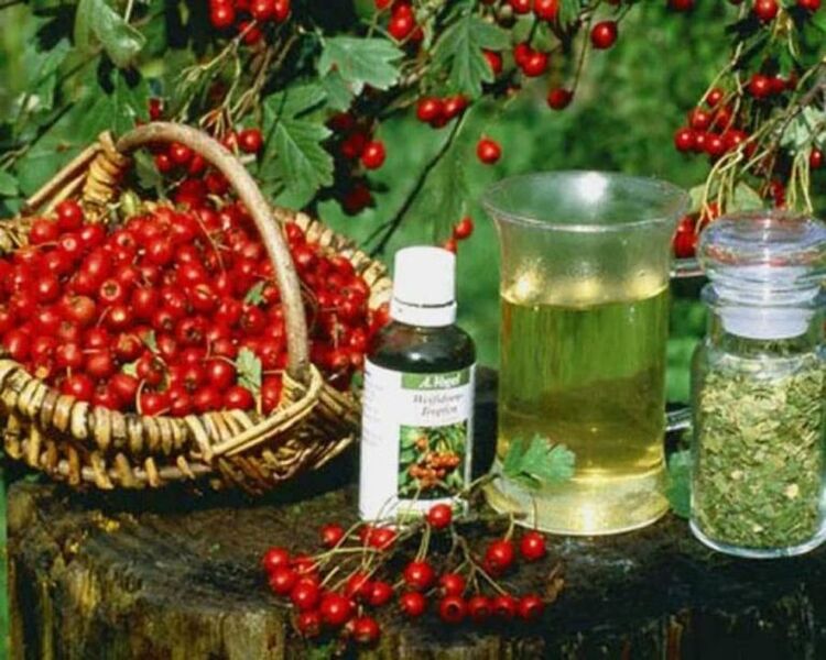 folk remedies voor de behandeling van prostatitis